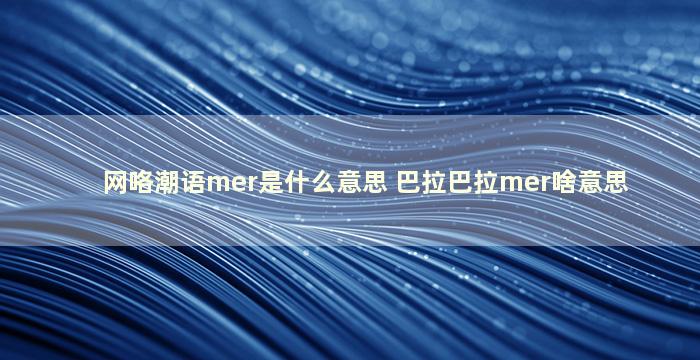 网咯潮语mer是什么意思 巴拉巴拉mer啥意思